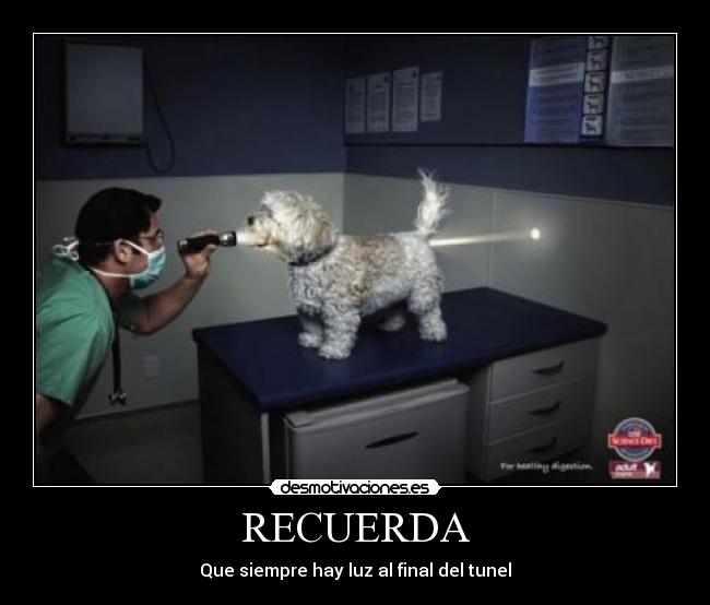 RECUERDA -