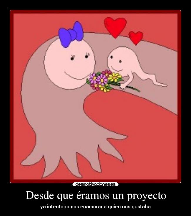 Desde que éramos un proyecto - 
