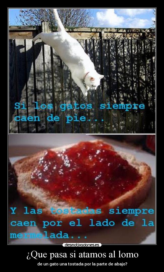 ¿Que pasa si atamos al lomo -