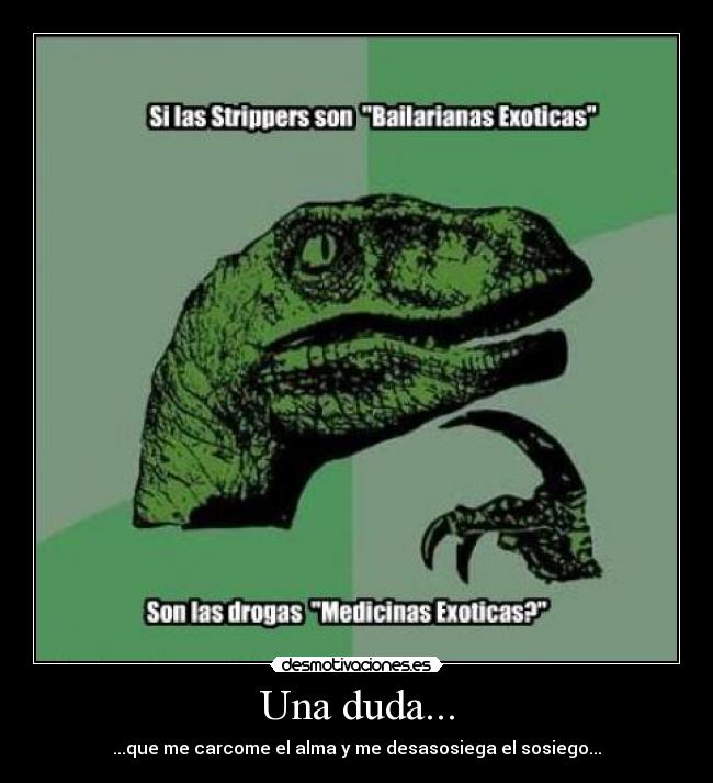 Una duda... - ...que me carcome el alma y me desasosiega el sosiego...