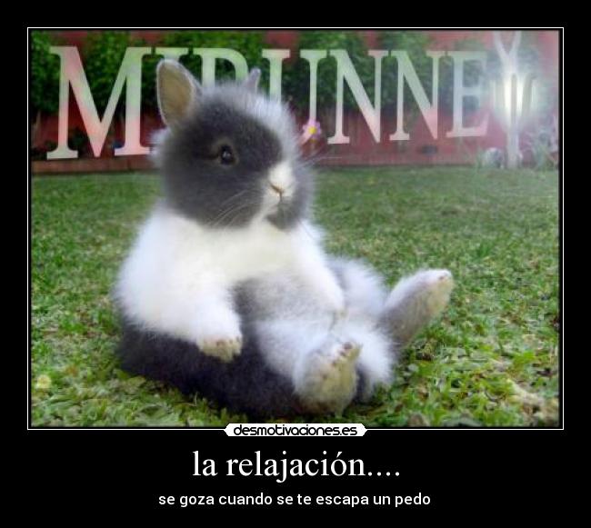 la relajación.... - 