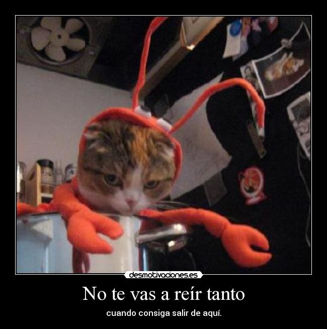 No te vas a reír tanto -