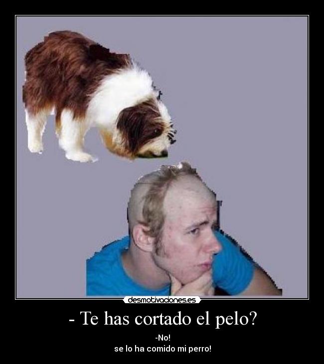 - Te has cortado el pelo? - -No!
se lo ha comido mi perro!