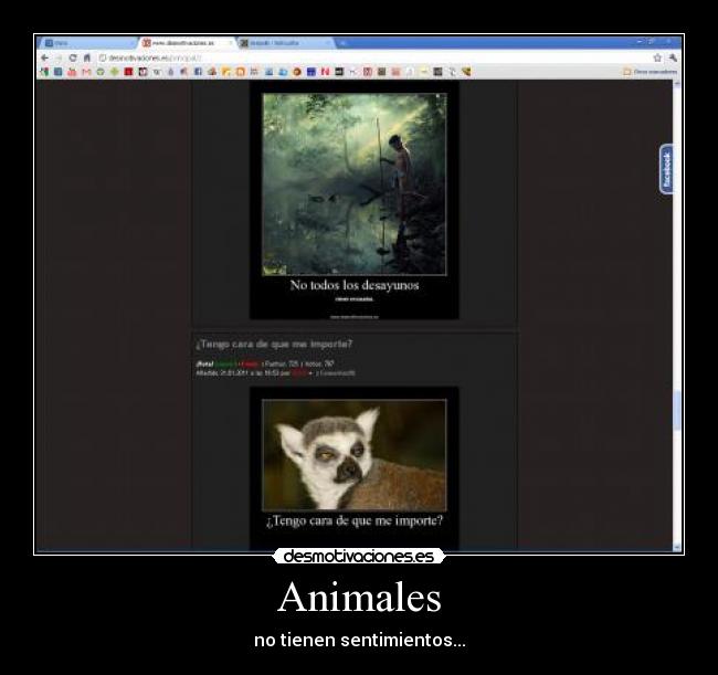Animales - 