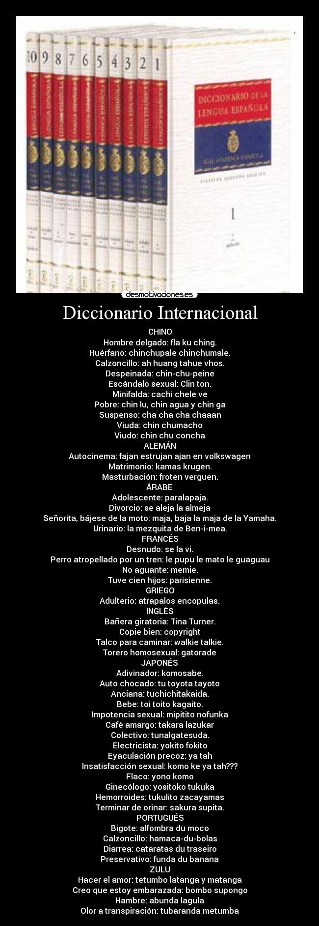Diccionario Internacional -