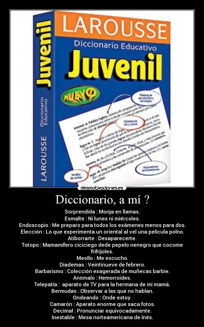 carteles diccionario desmotivaciones