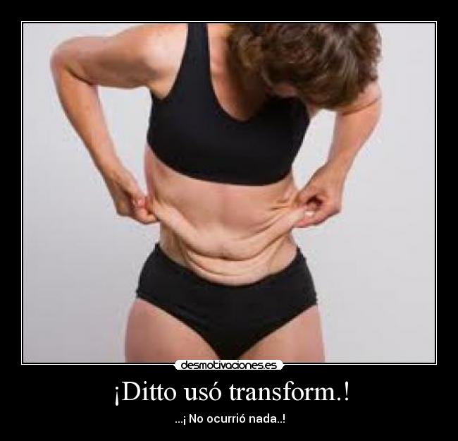 ¡Ditto usó transform.! -