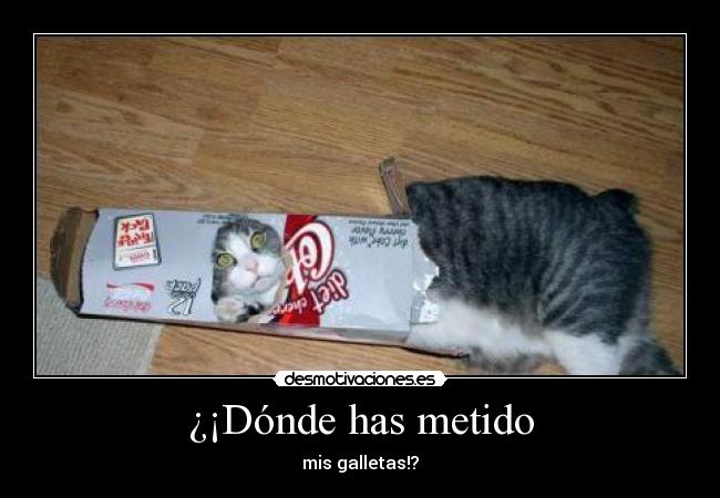 ¿¡Dónde has metido - mis galletas!?