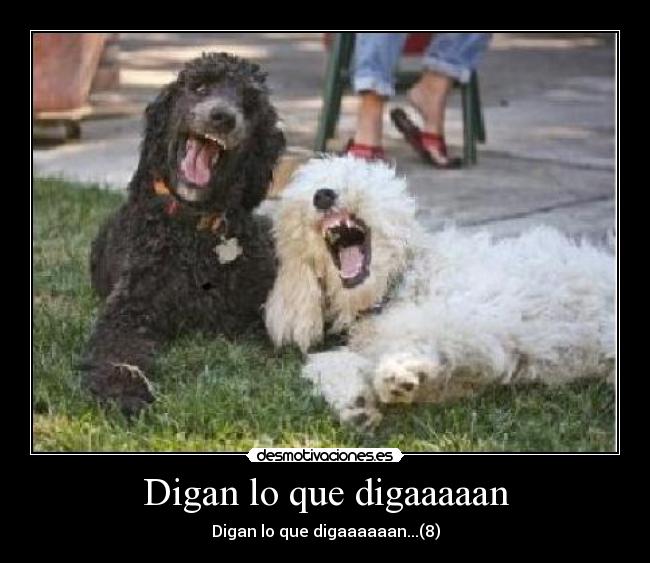 Digan lo que digaaaaan - Digan lo que digaaaaaan...(8)