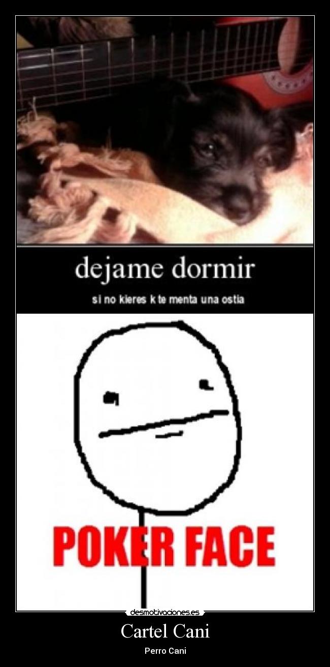 Cartel Cani - 