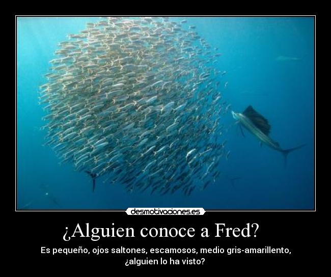 ¿Alguien conoce a Fred? -