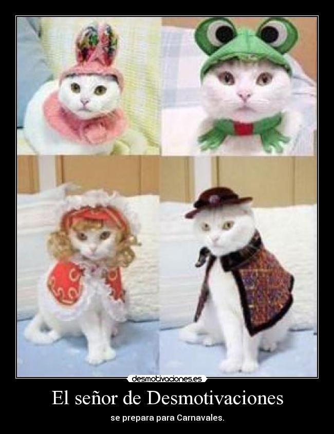 El señor de Desmotivaciones - 