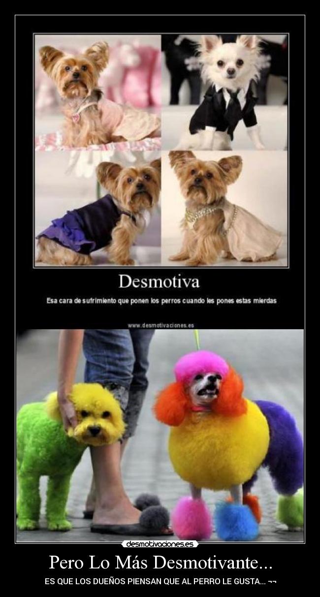 Pero Lo Más Desmotivante... -