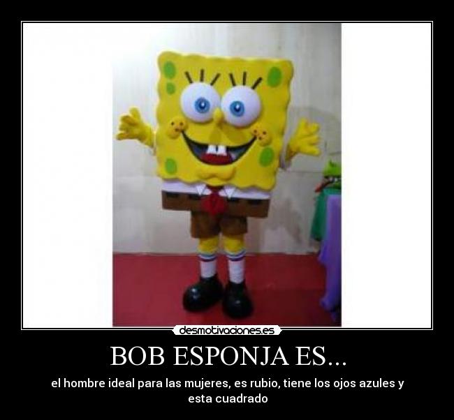 BOB ESPONJA ES... - el hombre ideal para las mujeres, es rubio, tiene los ojos azules y esta cuadrado