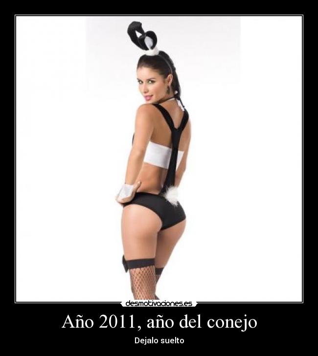 Año 2011, año del conejo - Dejalo suelto