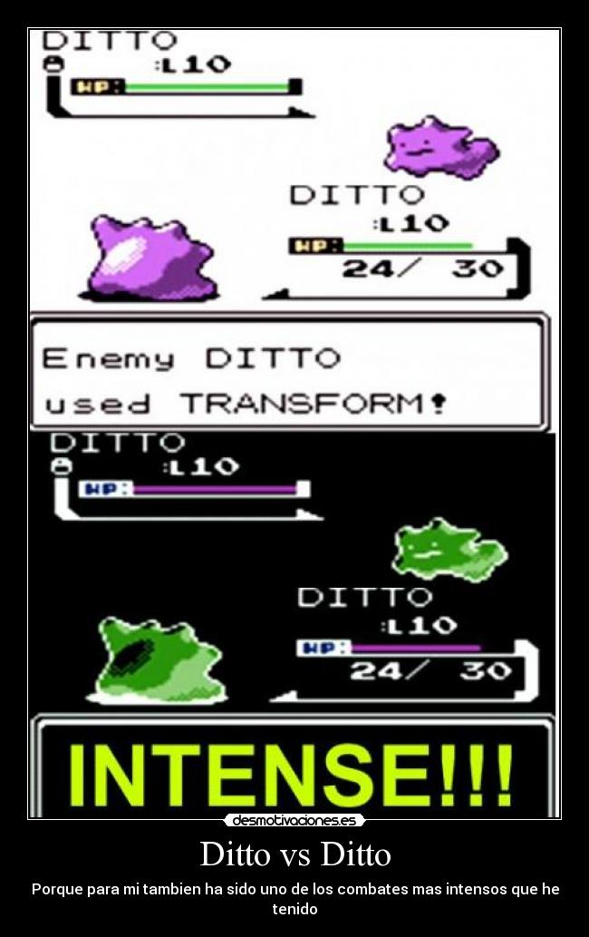 Ditto vs Ditto -
