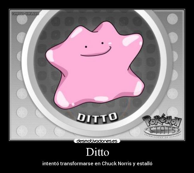 Ditto - intentó transformarse en Chuck Norris y estalló