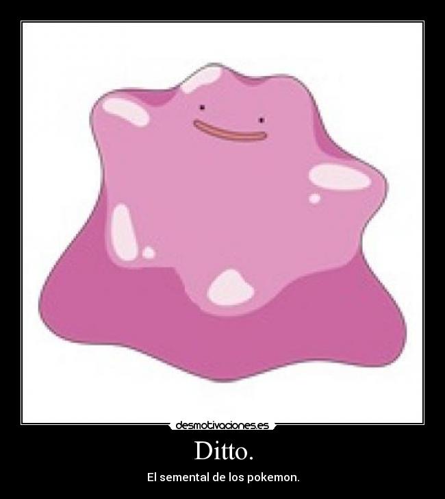 carteles ditto semental los pokemon desmotivaciones