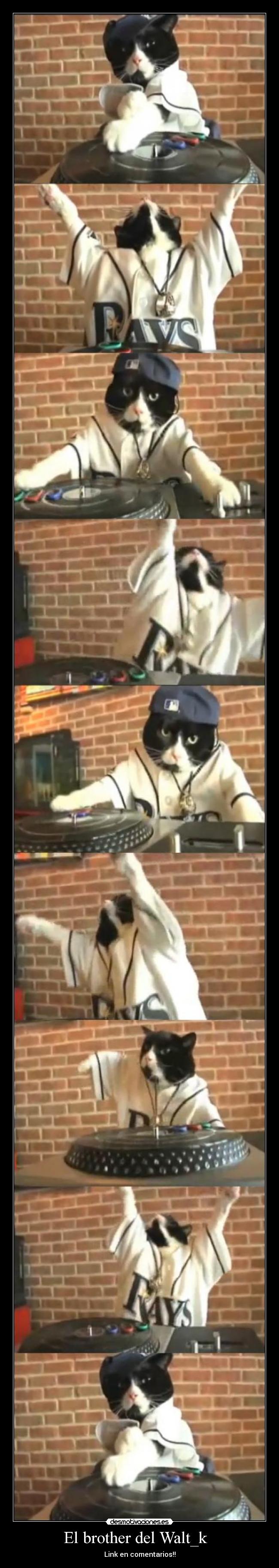 El brother del Walt_k   - Link en comentarios!!