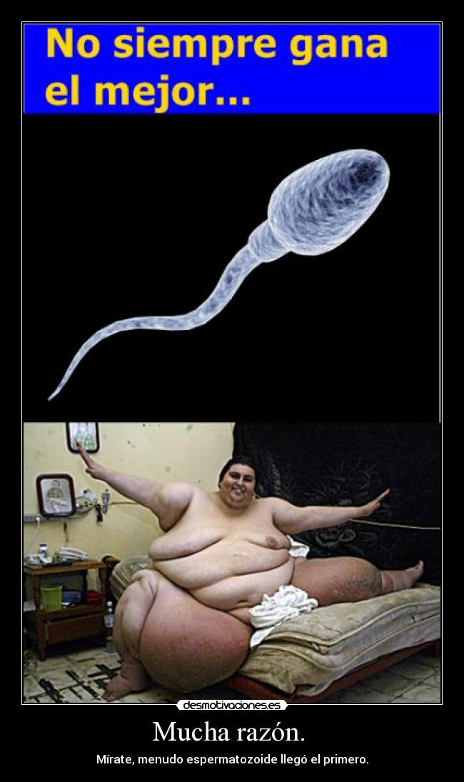 Mucha razón.  - Mírate, menudo espermatozoide llegó el primero.