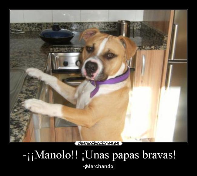 -¡¡Manolo!! ¡Unas papas bravas! - -¡Marchando!