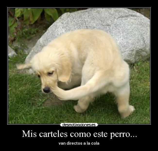 carteles perruno desmotivaciones