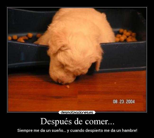 Después de comer... - Siempre me da un sueño... y cuando despierto me da un hambre!