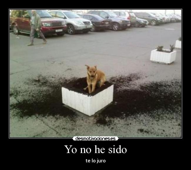 Yo no he sido - 
