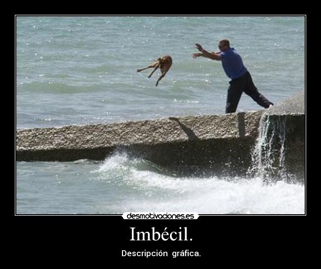 Imbécil. - Descripción  gráfica.