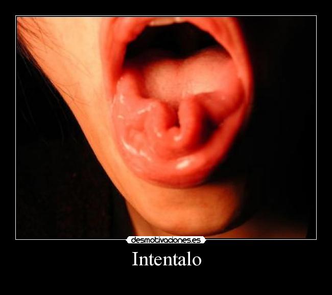 Intentalo - 