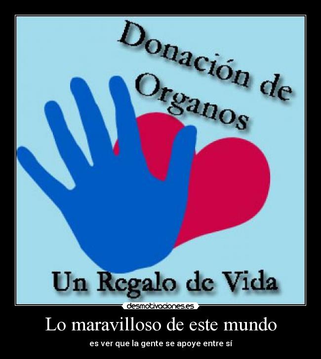 Lo maravilloso de este mundo -