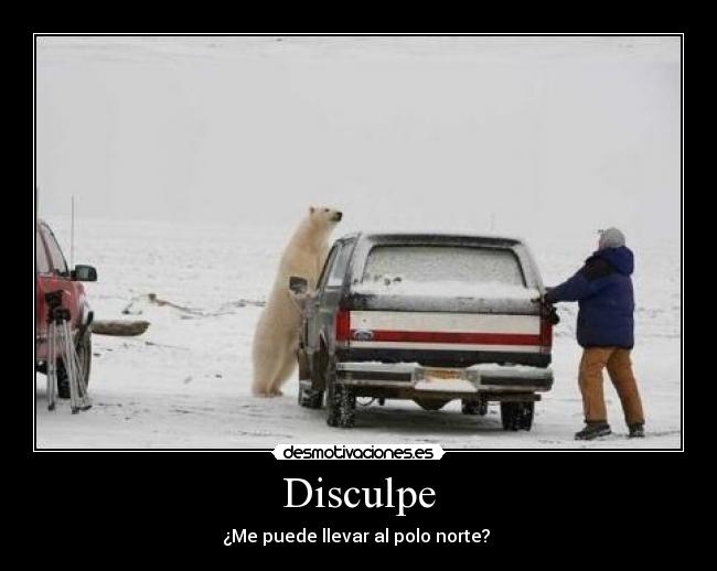 Disculpe -
