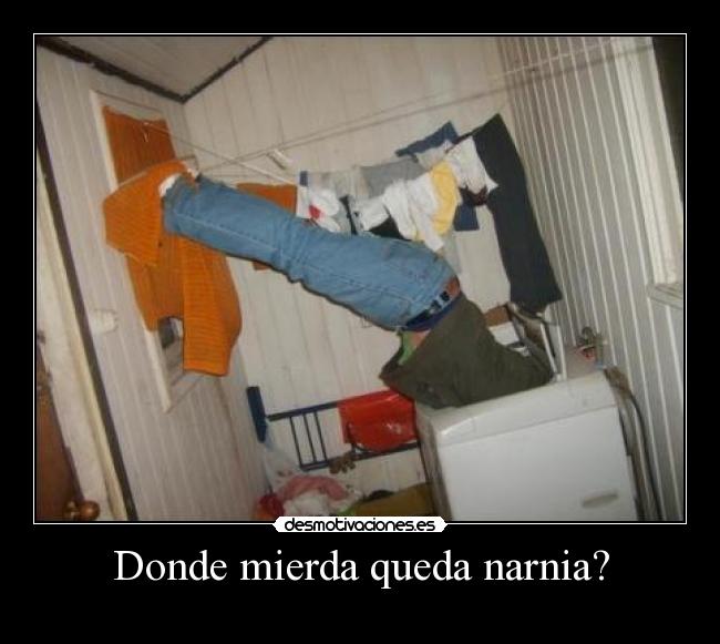 Donde mierda queda narnia? - 