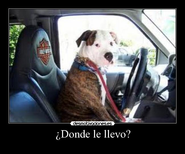 ¿Donde le llevo? -