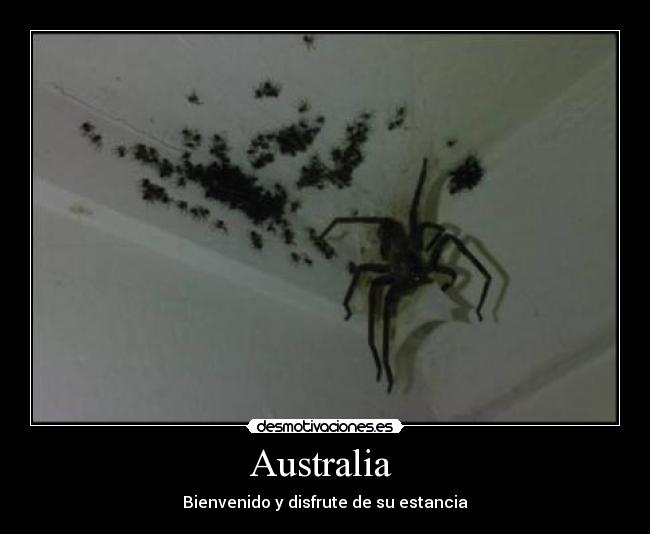 Australia  - 