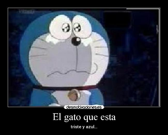 El gato que esta -