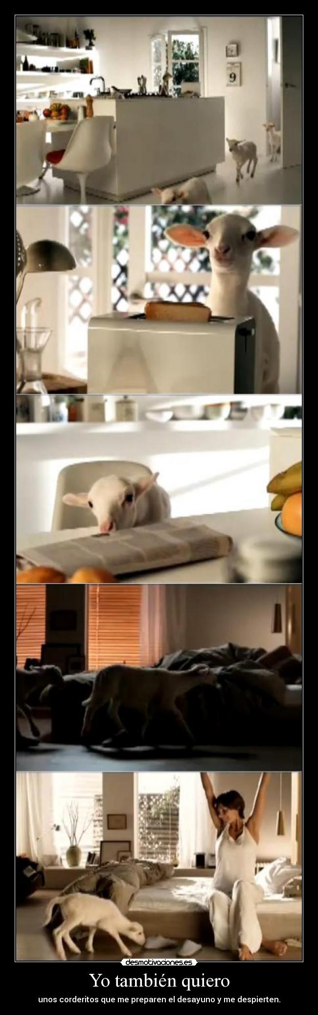 Yo también quiero - unos corderitos que me preparen el desayuno y me despierten.