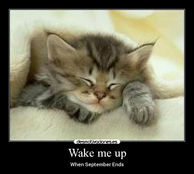 Wake me up - When September Ends