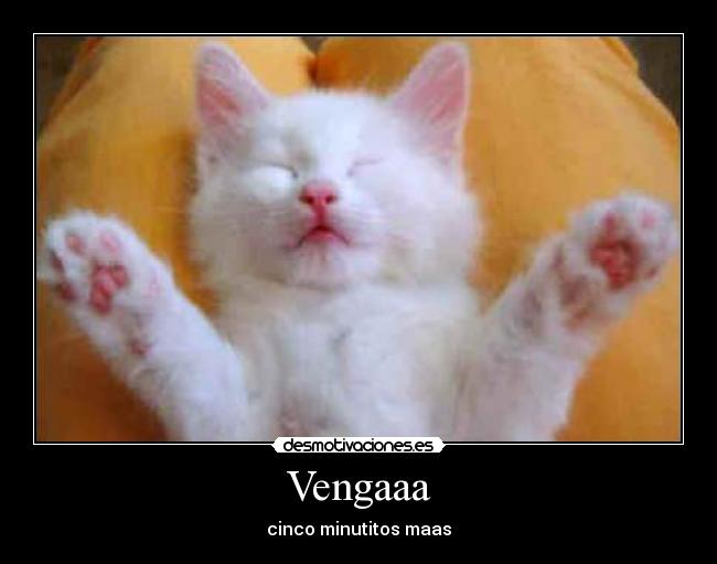Vengaaa - cinco minutitos maas