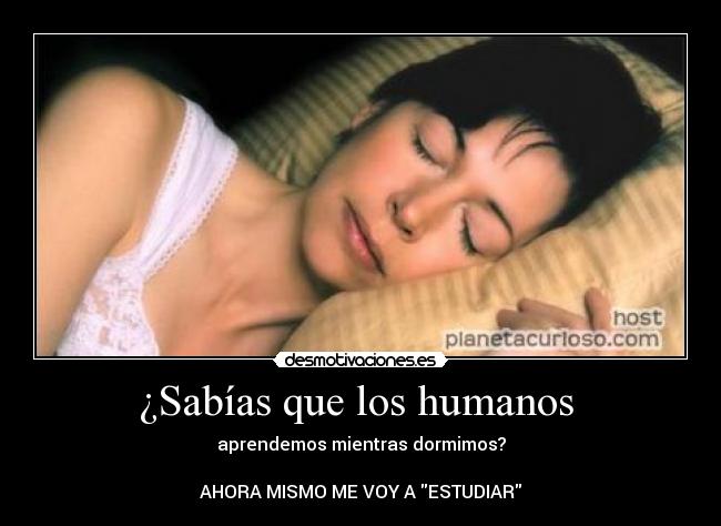 ¿Sabías que los humanos -