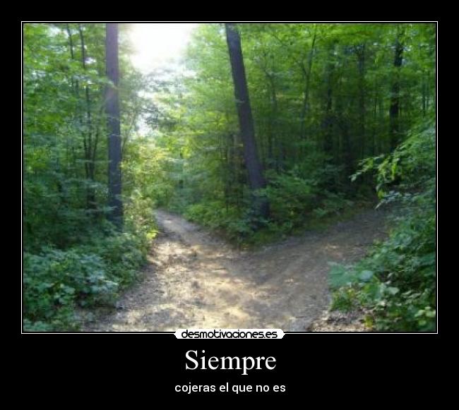 Siempre - cojeras el que no es