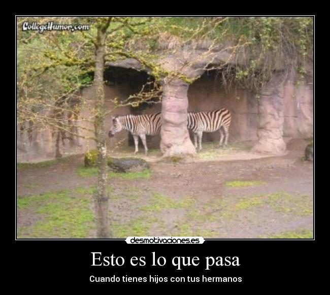 Esto es lo que pasa - 