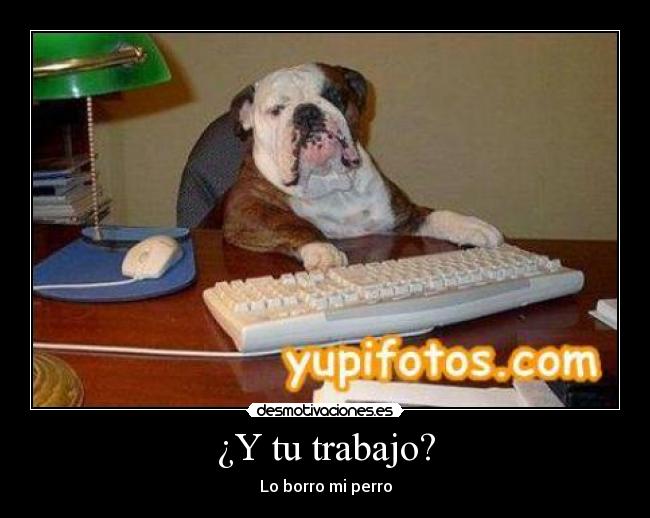 ¿Y tu trabajo? - 