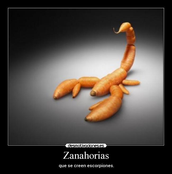 Zanahorias - que se creen escorpiones.
