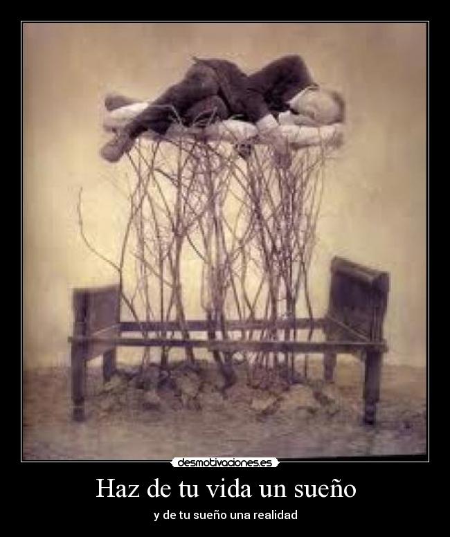 Haz de tu vida un sueño - 