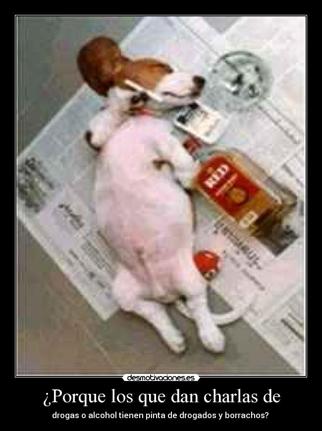 carteles borracho drogado perro colegio desmotivaciones