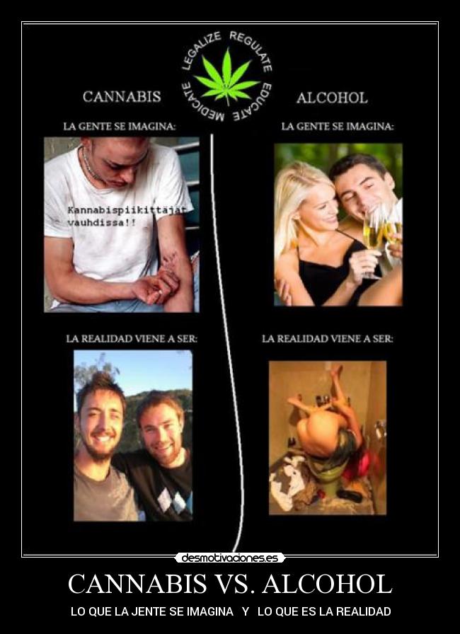 CANNABIS VS. ALCOHOL - 