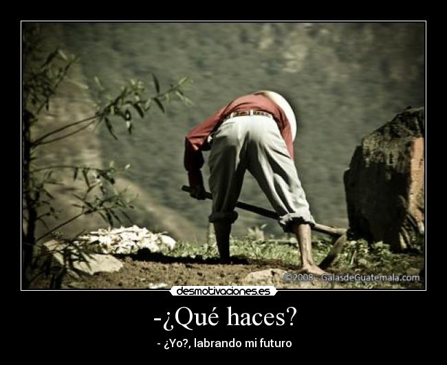 carteles labrando desmotivaciones