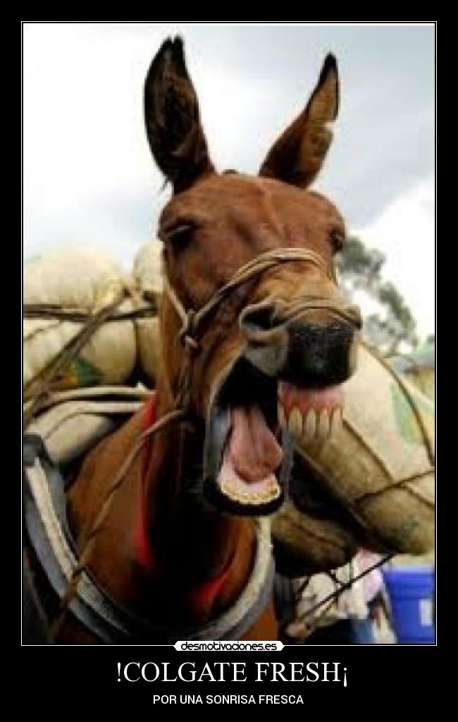 !COLGATE FRESH¡ - POR UNA SONRISA FRESCA