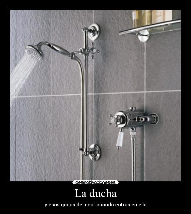 La ducha -